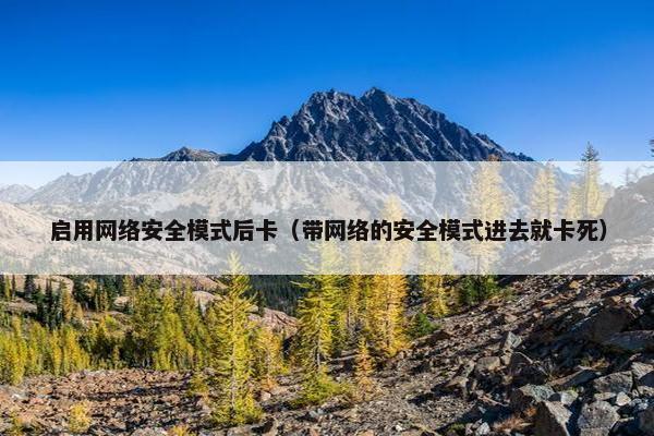 启用网络安全模式后卡（带网络的安全模式进去就卡死）