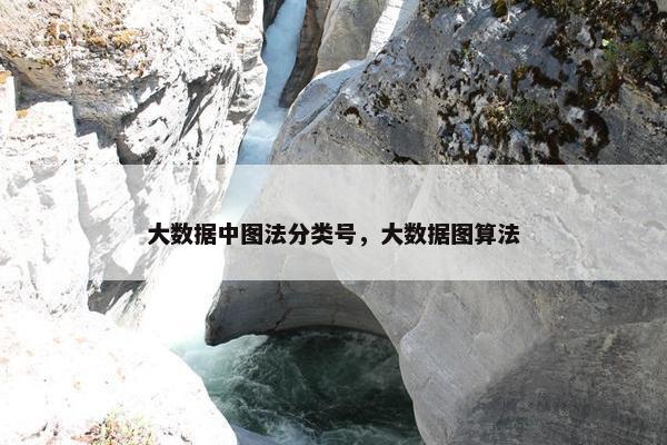 大数据中图法分类号，大数据图算法