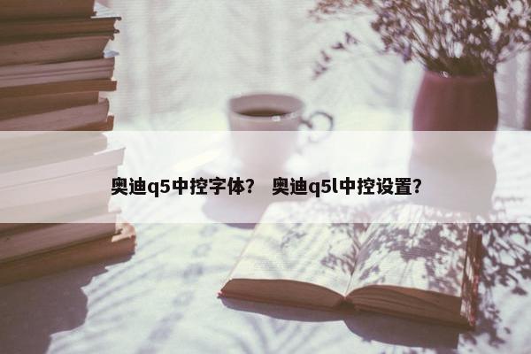 奥迪q5中控字体？ 奥迪q5l中控设置？