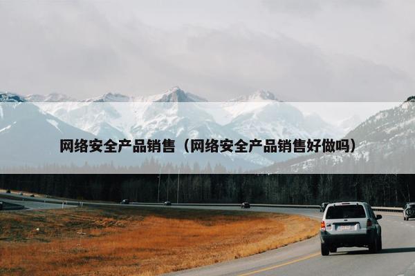 网络安全产品销售（网络安全产品销售好做吗）