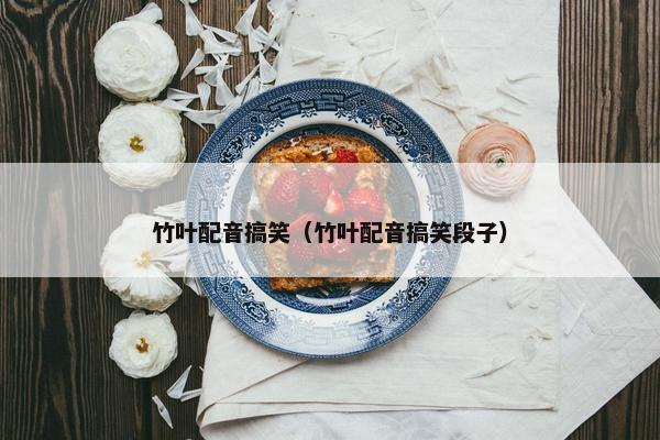 竹叶配音搞笑（竹叶配音搞笑段子）