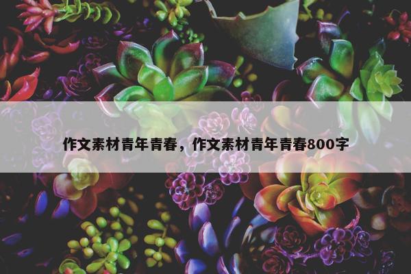 作文素材青年青春，作文素材青年青春800字