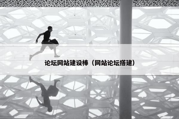 论坛网站建设棒（网站论坛搭建）