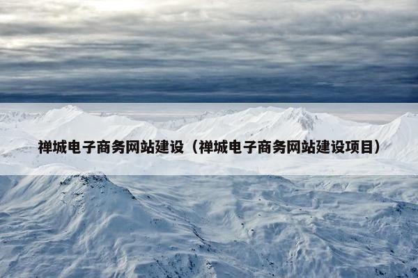 禅城电子商务网站建设（禅城电子商务网站建设项目）