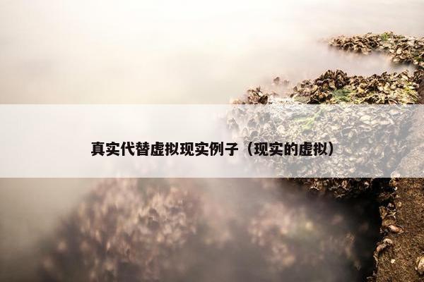 真实代替虚拟现实例子（现实的虚拟）