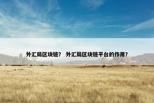 外汇局区块链？ 外汇局区块链平台的作用？