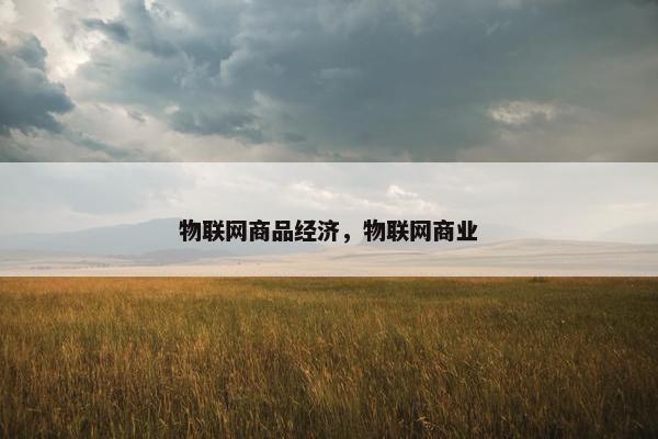 物联网商品经济，物联网商业