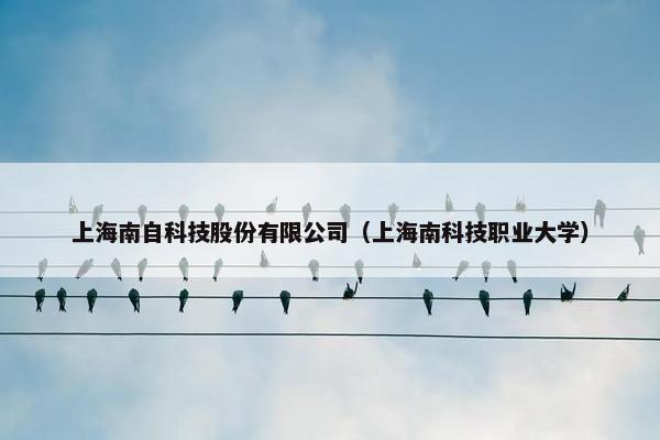 上海南自科技股份有限公司（上海南科技职业大学）
