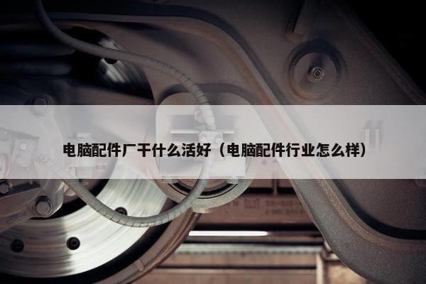 电脑配件厂干什么活好（电脑配件行业怎么样）