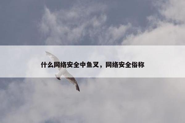 什么网络安全中鱼叉，网络安全俗称