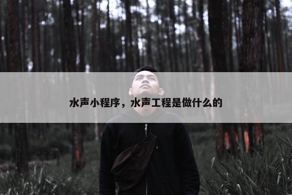 水声小程序，水声工程是做什么的