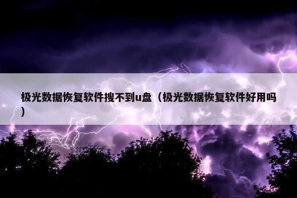 极光数据恢复软件搜不到u盘（极光数据恢复软件好用吗）