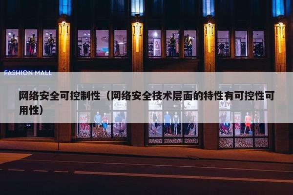 网络安全可控制性（网络安全技术层面的特性有可控性可用性）
