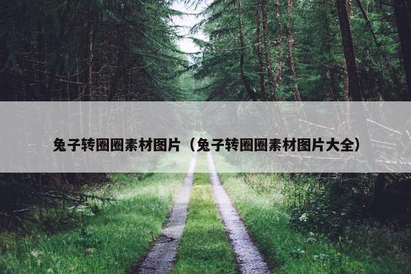 兔子转圈圈素材图片（兔子转圈圈素材图片大全）