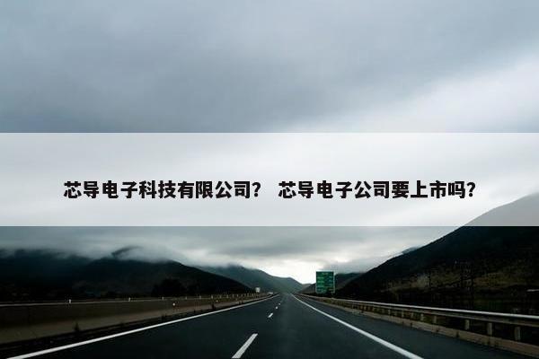 芯导电子科技有限公司？ 芯导电子公司要上市吗？