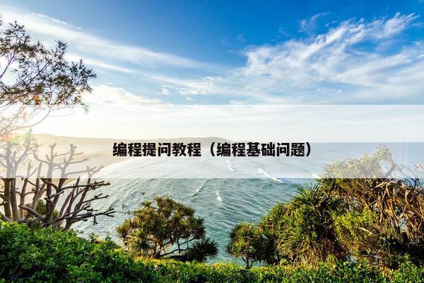 编程提问教程（编程基础问题）