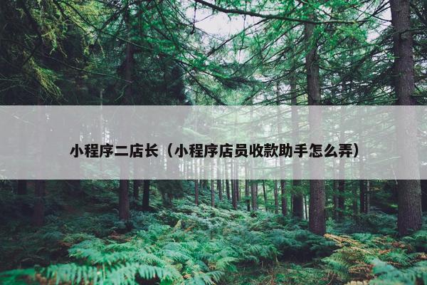 小程序二店长（小程序店员收款助手怎么弄）