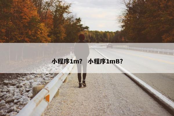 小程序1m？ 小程序1mB？