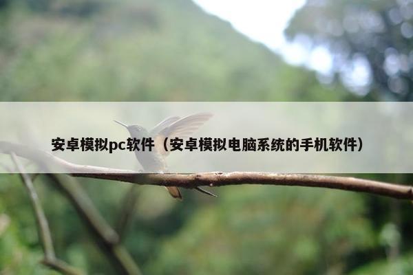 安卓模拟pc软件（安卓模拟电脑系统的手机软件）