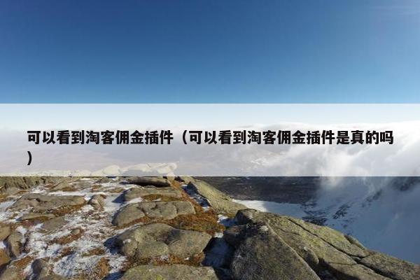 可以看到淘客佣金插件（可以看到淘客佣金插件是真的吗）