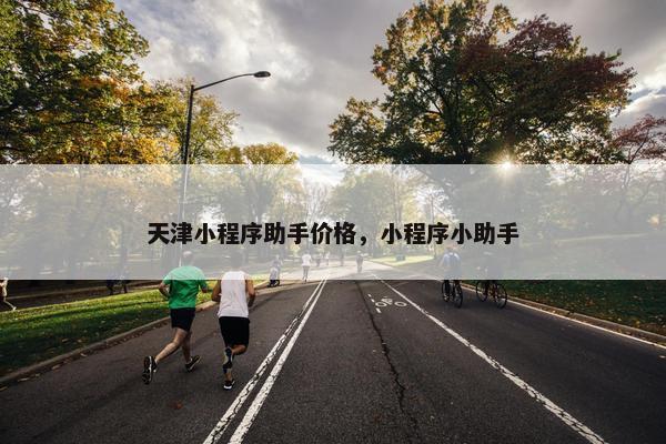 天津小程序助手价格，小程序小助手