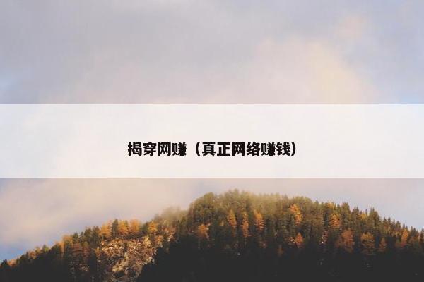揭穿网赚（真正网络赚钱）