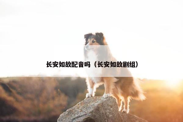 长安如故配音吗（长安如故剧组）