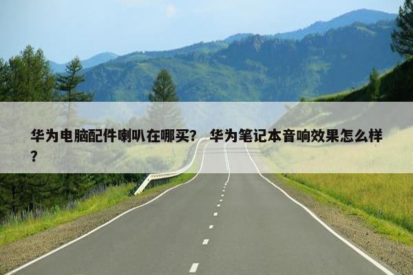 华为电脑配件喇叭在哪买？ 华为笔记本音响效果怎么样？
