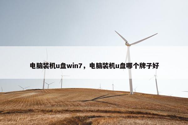 电脑装机u盘win7，电脑装机u盘哪个牌子好