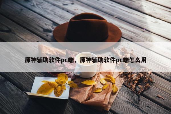 原神辅助软件pc端，原神辅助软件pc端怎么用