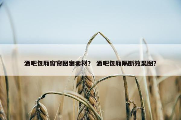 酒吧包厢窗帘图案素材？ 酒吧包厢隔断效果图？
