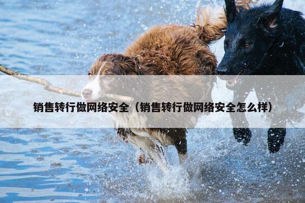 销售转行做网络安全（销售转行做网络安全怎么样）