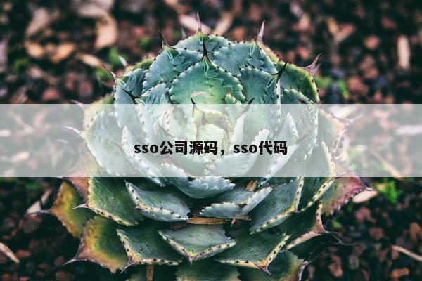 sso公司源码，sso代码