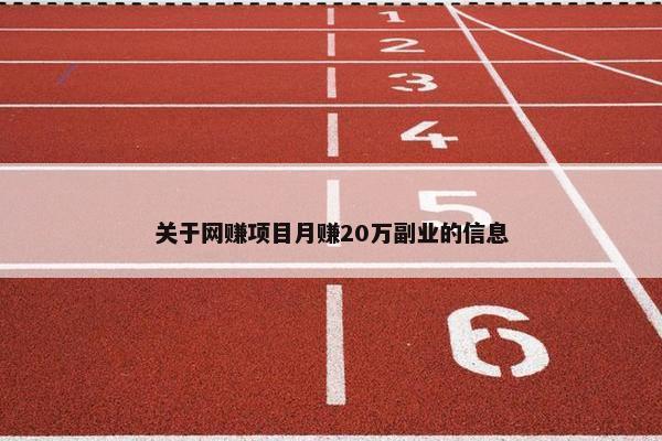 关于网赚项目月赚20万副业的信息