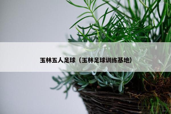 玉林五人足球（玉林足球训练基地）