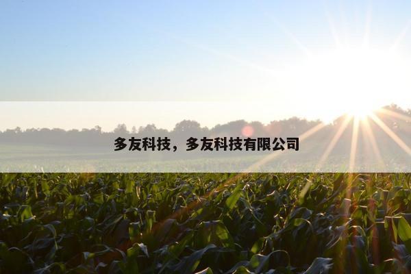 多友科技，多友科技有限公司