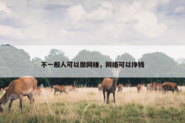 不一般人可以做网赚，网络可以挣钱