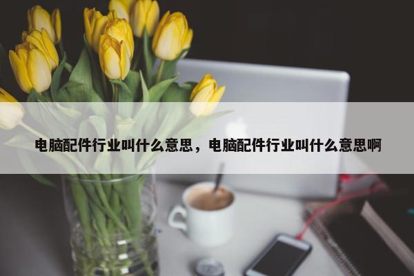 电脑配件行业叫什么意思，电脑配件行业叫什么意思啊