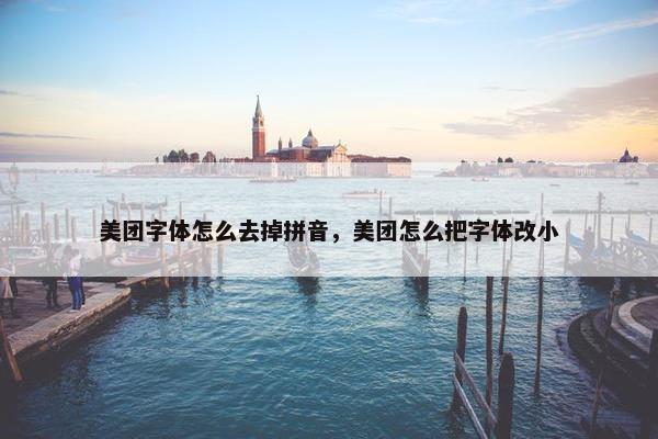美团字体怎么去掉拼音，美团怎么把字体改小
