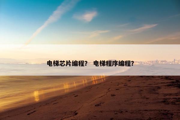 电梯芯片编程？ 电梯程序编程？