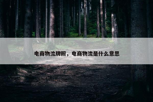电商物流牌照，电商物流是什么意思