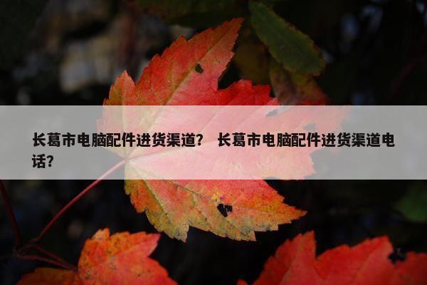 长葛市电脑配件进货渠道？ 长葛市电脑配件进货渠道电话？