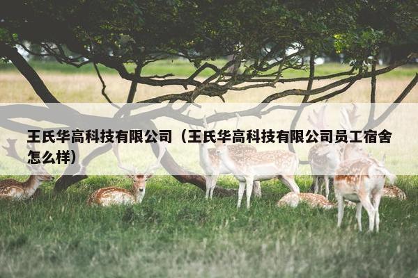 王氏华高科技有限公司（王氏华高科技有限公司员工宿舍怎么样）