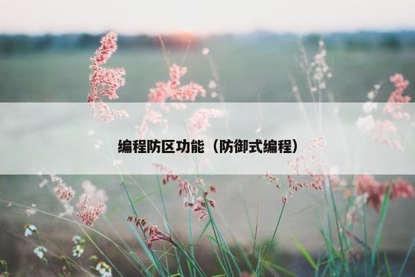 编程防区功能（防御式编程）