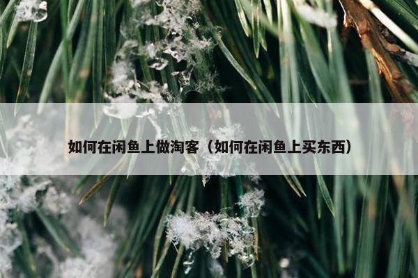 如何在闲鱼上做淘客（如何在闲鱼上买东西）