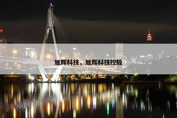 旭辉科技，旭辉科技控股