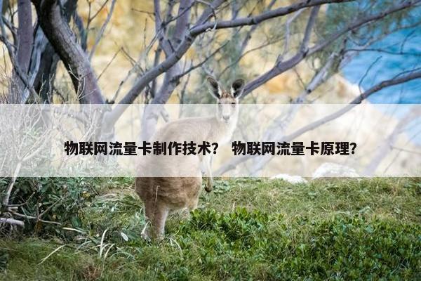 物联网流量卡制作技术？ 物联网流量卡原理？