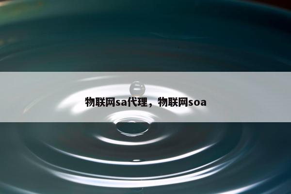 物联网sa代理，物联网soa