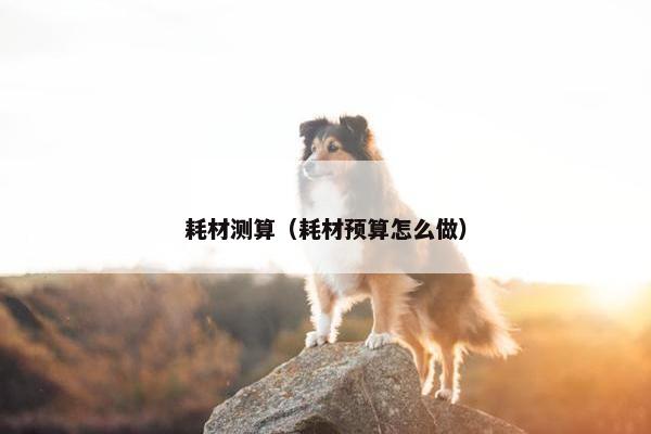 耗材测算（耗材预算怎么做）