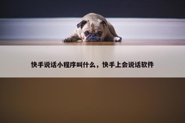 快手说话小程序叫什么，快手上会说话软件